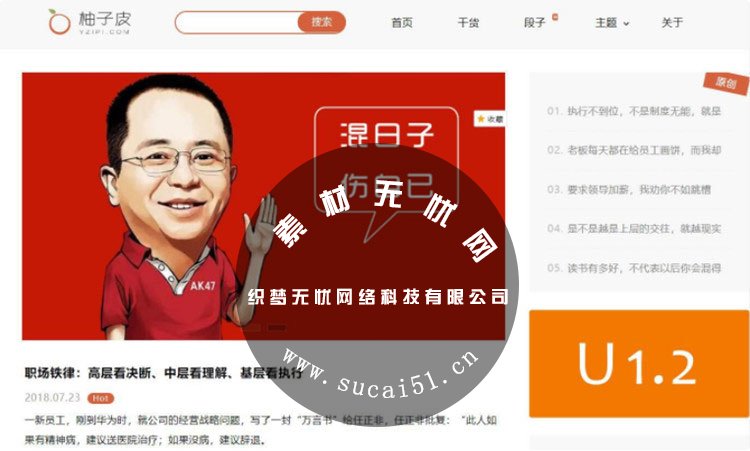 wordpress响应式简洁扁平风格笑话段子博客主题柚子皮5.7主题（带安装说明）