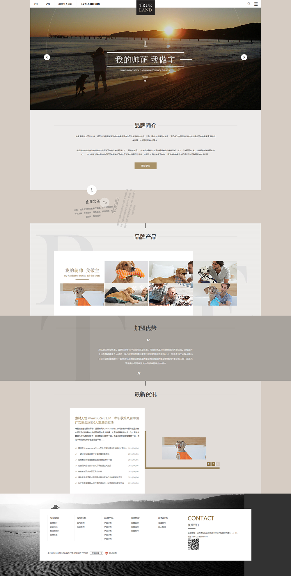 简洁的宠物培训机构网站html5响应式模板下载