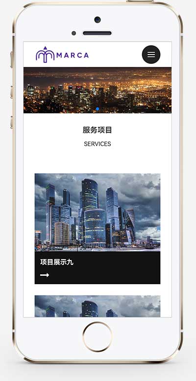 (自适应手机端)商务服务类网站模板 商业管理建站服务类型网站pb源码下载(图1) 1-240G1091935Z5.jpg