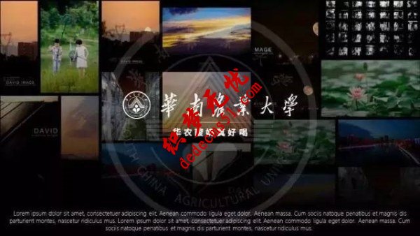 多张PPT背景图片的排版方式(图1) 多张PPT背景图片的排版方式(图1)