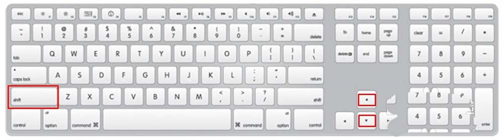 PPT怎么调节图片的大小? ppt设置图片大小的三种方法(图4) PPT怎么调节图片的大小? ppt设置图片大小的三种方法(图4)