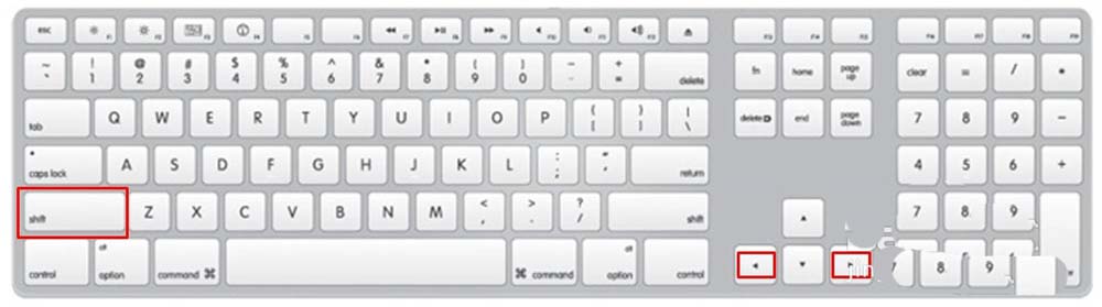 PPT怎么调节图片的大小? ppt设置图片大小的三种方法(图5) PPT怎么调节图片的大小? ppt设置图片大小的三种方法(图5)