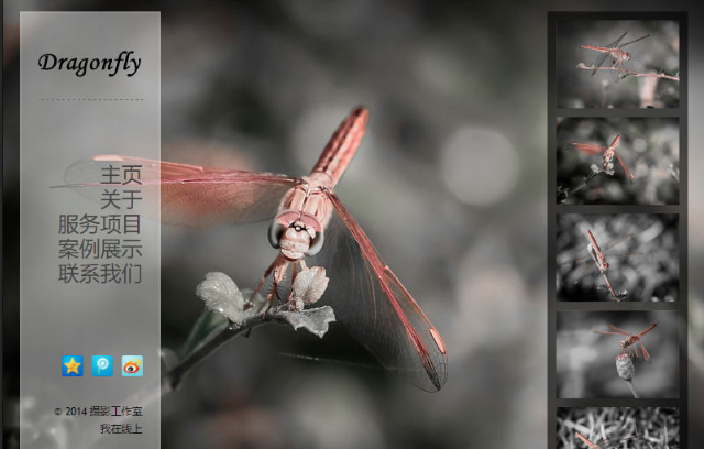 HTML5摄影工作室个人网站模板(图1)