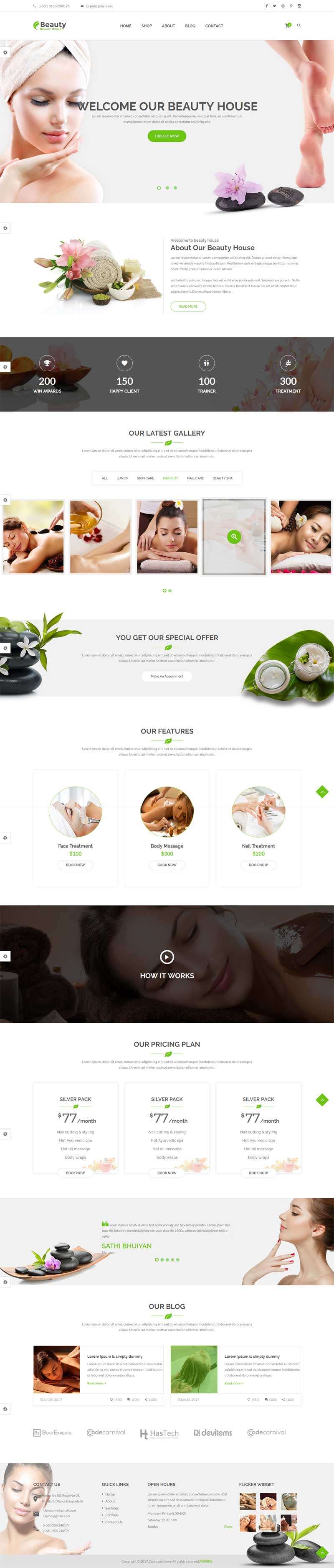 美容健康养生spa会所网站模板(图1)