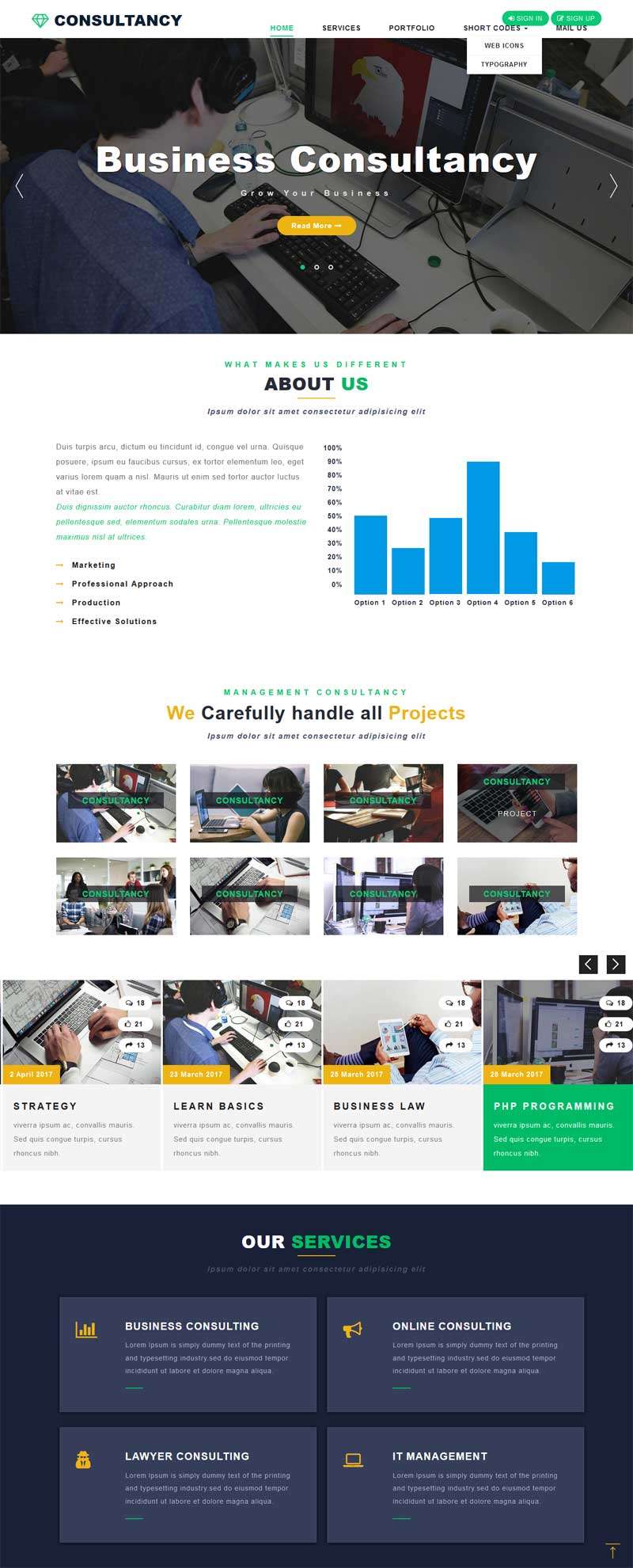 宽屏的商业咨询公司网站模板(图1)