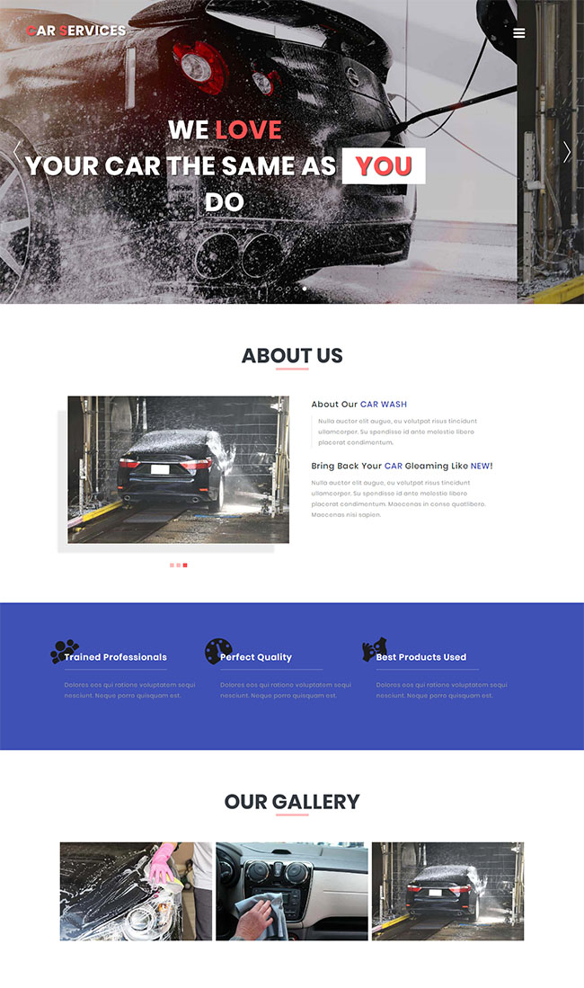 洗车汽车美容网站模板(图1)