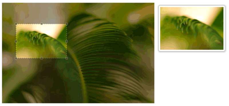 jQuery图像裁剪插件设置图片区域截图效果(图1)