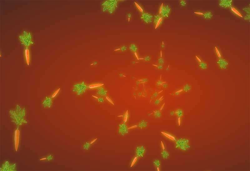 html5 canvas胡萝卜动画特效(图1)