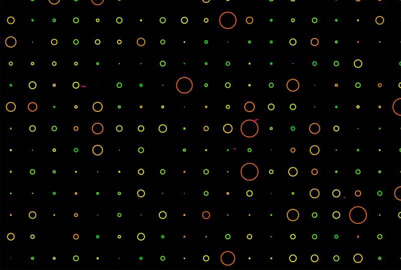 canvas绘制彩色圆圈动画特效(图1)