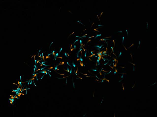 canvas旋涡粒子光标动画特效(图1)