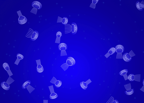 html5 canvas游动的水母动画特效(图1) html5 canvas游动的水母动画特效(图1)