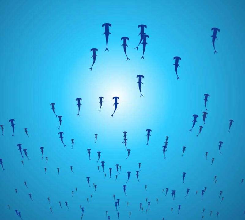 html5 canvas海底世界动画特效(图1)