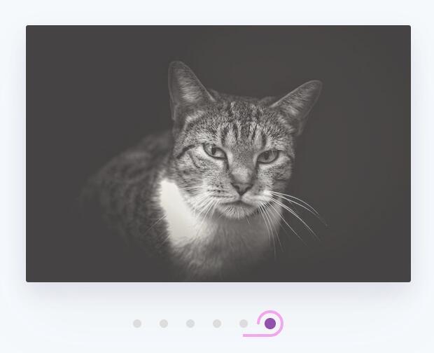 html5 svg圆点线条变形控制图片切换特效(图1) html5 svg圆点线条变形控制图片切换特效(图1)