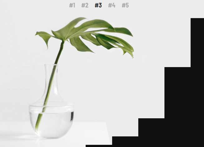 html5 svg全屏百叶窗图片切换特效 html5 svg全屏百叶窗图片切换特效(图1)