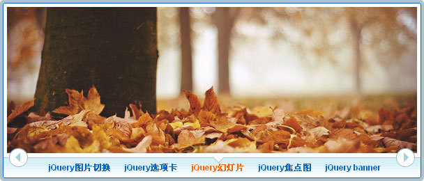 jQuery幻灯片Firefox附加组件中心的风格图片切换(图1) jQuery幻灯片Firefox附加组件中心的风格图片切换(图1)