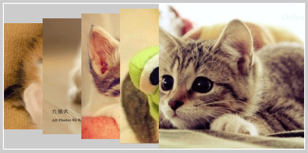 jquery相册图片叠加效果点击图片立体轮换效果(图1) jquery相册图片叠加效果点击图片立体轮换效果(图1)