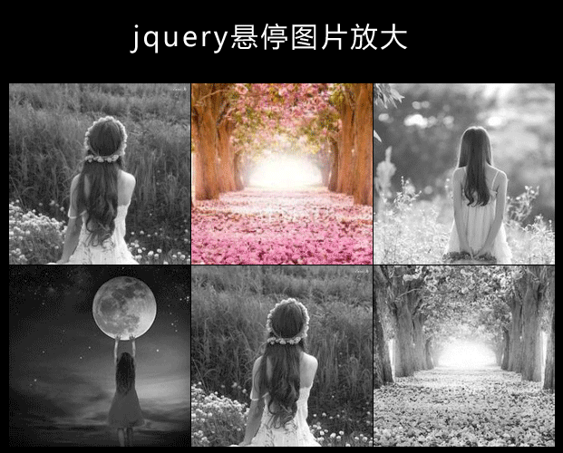 jQuery鼠标悬停图片变色放大显示效果(图1)