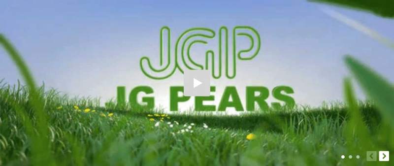 jQuery焦点图片点击jwplayer网页视频播放代码(图1) jQuery焦点图片点击jwplayer网页视频播放代码(图1)